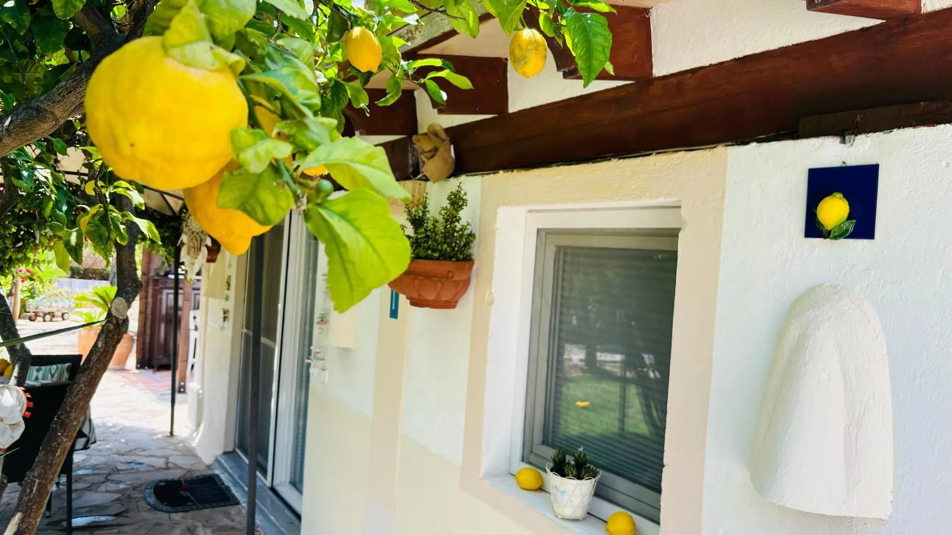 Casita Limon Andratx Villa 0*,  Spain