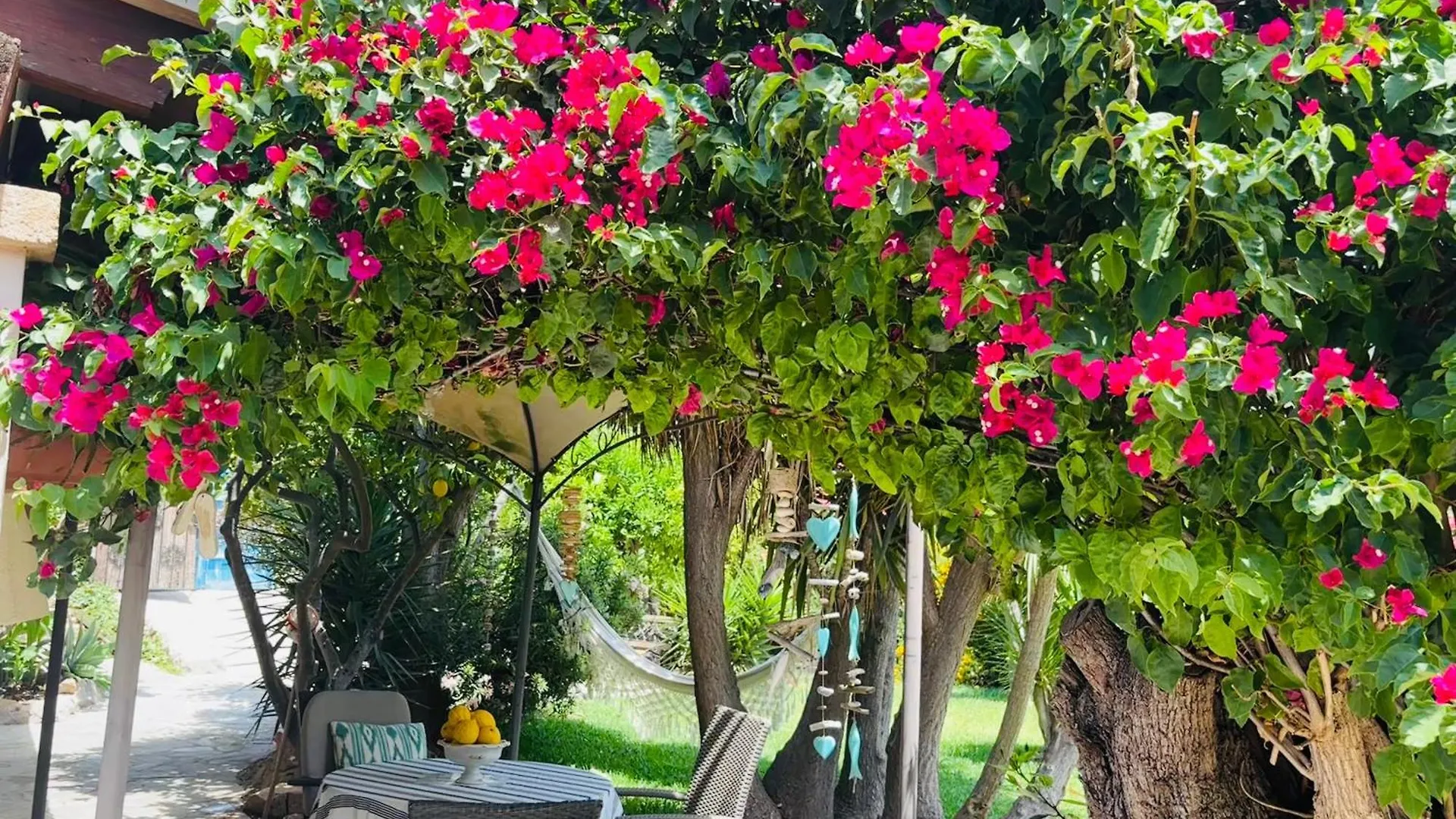 Casita Limon Andratx Villa