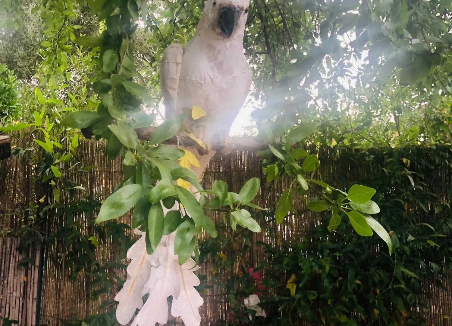 Villa Casita Limon Andratx